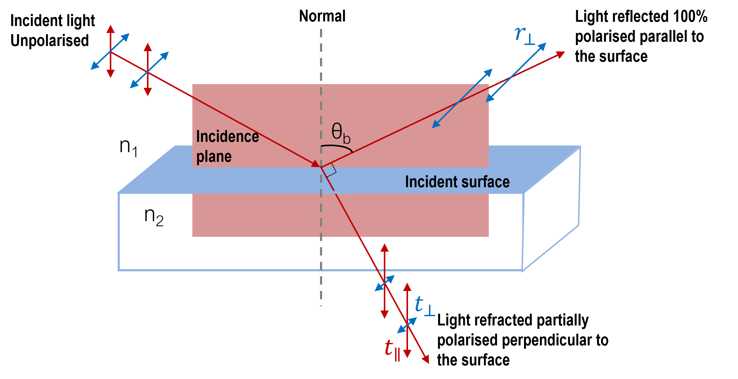 the amount of polarization depends on the indices of refraction of the media involved